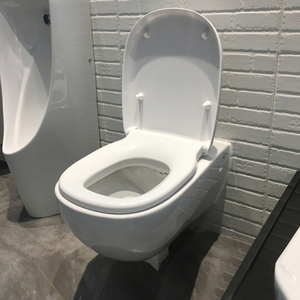 美标挂壁式悬挂入墙式挂墙壁挂式悬空马桶墙排式小户型坐便器2266