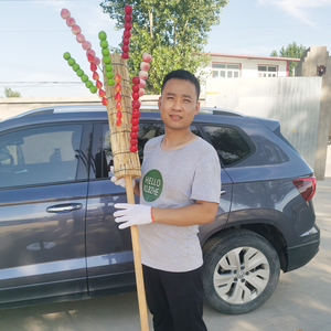 冰糖葫芦草靶子