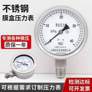 YE100BF 不锈钢膜盒压力表 微压表 膜片 天然气kpa mbar 上海仪民