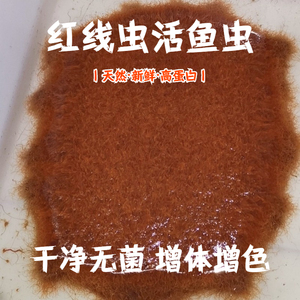 红线虫活鱼食活体线虫水蚯蚓红丝虫大小观赏鱼高蛋白发色饲料鱼饵