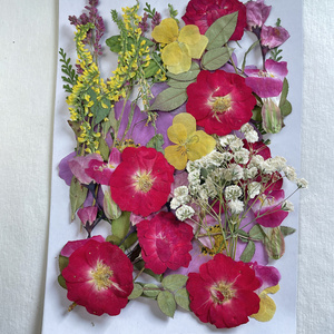 幼儿园手工干花叶子拼贴画干花素材包红色系押花混装包圣诞节干花