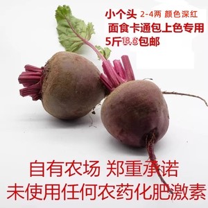 甜菜根小个头5斤甜菜头紫菜头红甜菜农产品蔬菜红菜头包邮