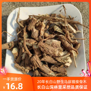 长白山接骨木马尿骚树根野生接骨木树根马尿骚树枝20年接骨木树枝