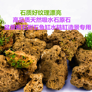 天然吸水石原石毛料假山盆景造景石配石菖蒲石斛附石抱石景观石头