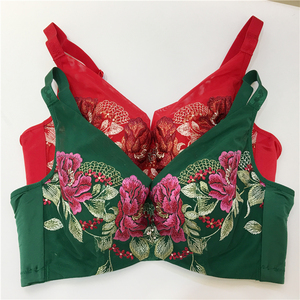 依之妮纯棉时代秋冬款经典大花刺绣大罩杯bc聚拢艳丽文胸内衣包邮