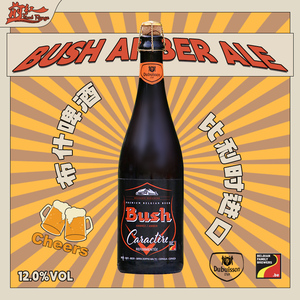 比利时 原装进口大瓶烈性啤酒 bush/布什 12度 750ml艾尔精酿啤酒