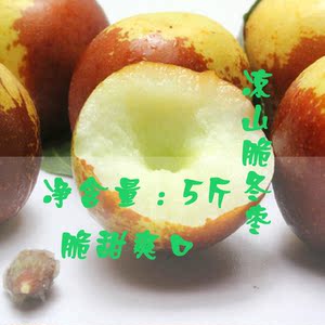 西昌特产凉山水果冬枣脆枣蜜枣甜脆枣包邮(暂时无货)