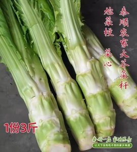新鲜芥菜菜心