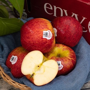新西兰爱妃苹果9颗大果礼盒Envy苹果进口超甜多汁苹果新鲜水果