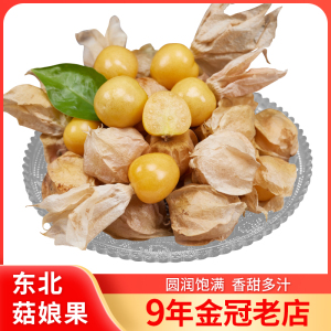 新鲜菇娘果2斤东北特产甜灯笼果黄姑娘果菇茑果新鲜时令水果