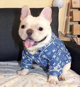 宠物潮牌狗狗夏季薄款sup猫咪法斗牛犬巴哥泰迪雪纳瑞衬衫睡衣服