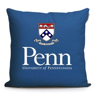 UPenn宾夕法尼亚大学宾大周边纪念品美国留学礼品校徽装饰抱枕