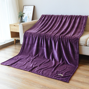 微瑕120*180外贸 紫色法兰绒毛毯单层单人午睡盖毯沙发空调披毯子