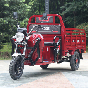电动三轮车车载重王家用