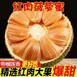 【直播】红肉菠萝蜜一整个8-12斤新鲜水果整箱包邮