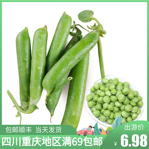 成都好特蔬基地直供带壳豌豆新鲜蔬菜特色食材顺丰包邮 bean 250g