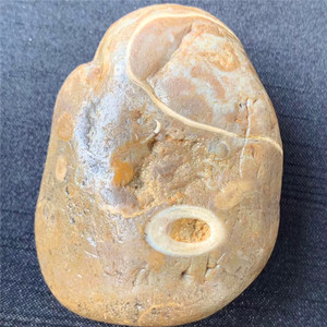 西藏法螺天珠原石把玩件籽料手把件原生态籽料天珠原石料带证书