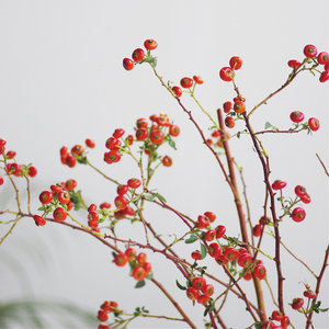 蔷薇果鲜切花中式瓶插花艺有趣稀有小众花材昆明斗南直发顺丰空运