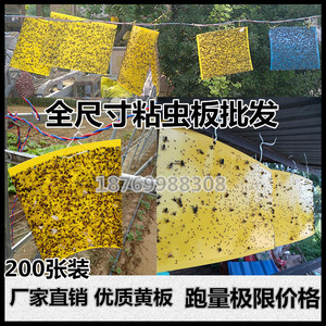 粘虫王品牌粘虫板诱虫板双面黄板蓝板厂家包邮黏蓟马果蝇小黑飞