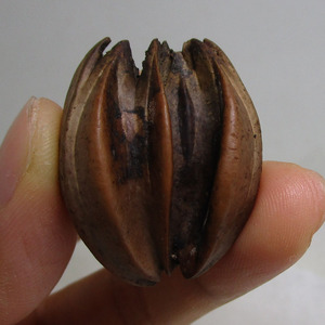 广东橄榄核油核微雕核雕原料文玩挂件单件异形核乌榄怪核p08