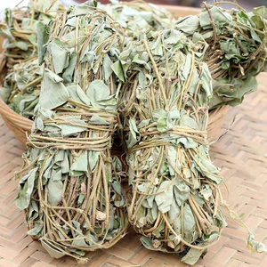 大叶广金钱草中草药干货药材溶石野生泡水化结石500克包邮新鲜