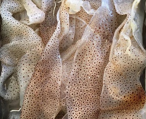 七星海蜇皮珊瑚海蛰皮口感脆好吃每桶8斤固体物不低于4斤38元包邮