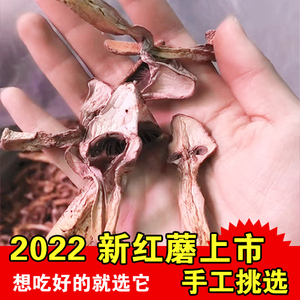00同款货源最北一店淘宝野松菇干货松树菇东北松蘑野生松树蘑菇