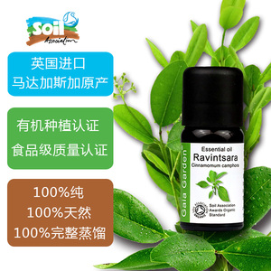 有机罗文莎叶/桉油樟单方精油10ml提高肌体免疫净化空气助眠安神