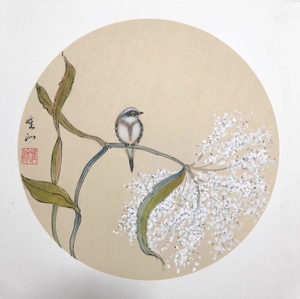 00桐桐1688淘宝圆形斗方工笔画熟宣卡纸宣纸牡丹荷花白描底稿初学者