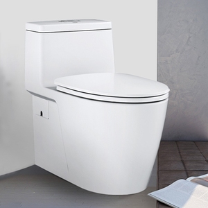 全新 包邮 高仪grohe 马桶39315000/11560