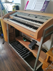 吟飞rs700双排键低价出,9成新,小孩练琴用!