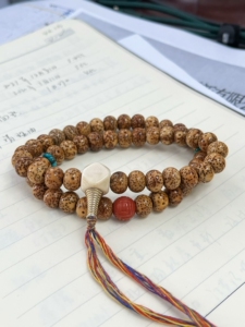 小年份星月菩提手持54颗素珠