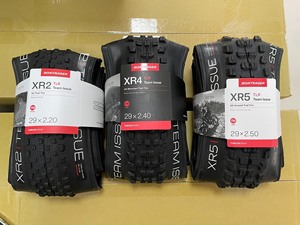 Bontrager 崔克棒槌哥山地自行车外胎轮胎29寸外胎