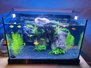 台湾品牌亿鼎 鱼缸尺寸 45*30*30