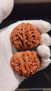 文玩核桃东北黑龙江矮桩血灯笼秋子,去年的果,就一对,高39肚