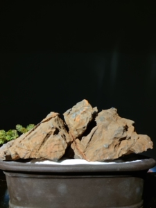 灵璧奇石,大尺寸滴水莲花山行,原石无破损未刷,细节满满