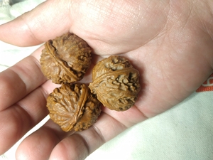 两个鸡血藤,一串黑檀手串216,两个药王葫芦,再加三个野生核