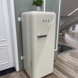 hck哈士奇冰箱家用美式复古冰箱小型颜值网红客厅彩色冷藏大容