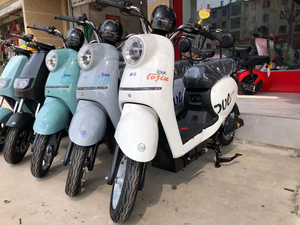 全新绿久电动车,特价促销,新国标绿牌,标配超威4820电池