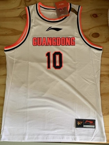 广东队篮球服背心定制易建联赵睿东莞大益普洱宏远队球衣成信得天下