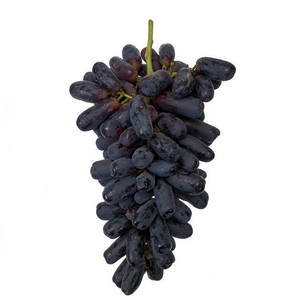 800人付款淘宝新疆葡萄新鲜黑美人当季孕妇水果金手指黑提无籽非进口4