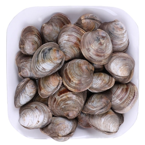 5斤蛤蜊鲜活海鲜水产新鲜美贝花甲花蛤文蛤无沙野生大黄蚬子包邮