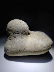 奇石料姜石形成于黄土高原河谷中,32包邮像个睡着的鸭子