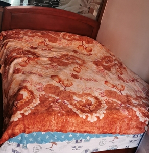 郭氏家具床,1.5*2m,底下有储物空间,带床垫床头,800