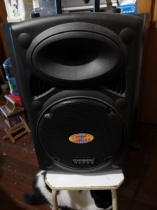 00百优品商贸淘宝太阳升音响8寸重低音户外蓝牙广场舞插卡便携式拖