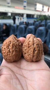 沈阳鸡心核桃