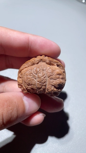 36尺寸宫灯蛇头异形单只文玩核桃