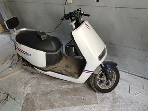 重庆双狮牌电动摩托车一辆19位大架号的,由于曲阳县不能上牌照