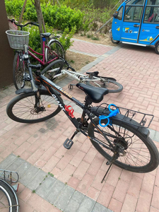 闲置捷安特mtb770    高碳钢车架   前后挡泥板水瓶