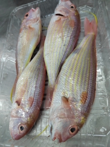 900人付款淘宝红线钓海鱼冷冻红杉鱼鲜活